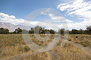 Inyo County Landscape