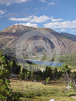 Inyo National Forest II