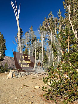 Inyo National Forest Sign Beautiful Sky and Trees