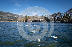 Ioannina city in Greece. View of the lake and the mosque of Aslan Pasa cami with seagulls and swans. photo