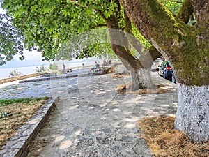 Ioannina  city beside the lake pamvotis, in summer season, platanus trees lake boats , greece