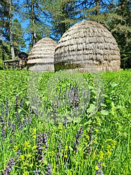 ioannina huts of straw in giftokampos area old settlements of sheepkeepers