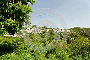 Ioannina village Vitsa in spring season old tranditional houses and green trees