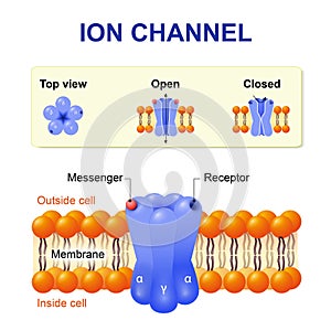 Ion channel photo