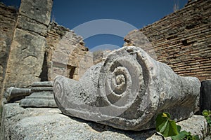 Ionic capital resting on the ground