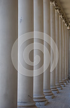 Ionic columns