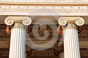 Ionic columns