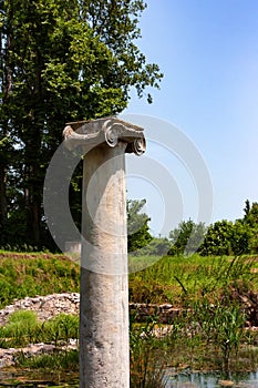 Ionic order column chapiter against blue sky photo