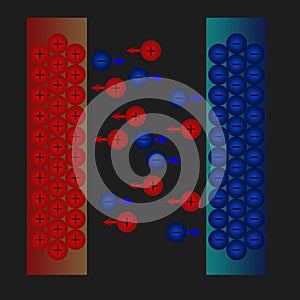 Ions movement to negative electrode and positive electrode