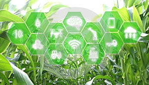 Iot, internet of things, agriculture concept, Smart Robotic artificial intelligence/ ai use for management , control , monitorin photo