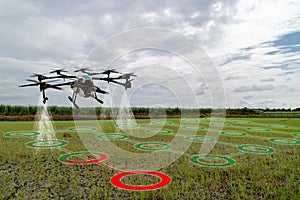 Iot smart agriculture industry 4.0 concept, drone in precision farm use for spray a water, fertilizer or chemical to the field,