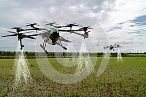 Iot smart agriculture industry 4.0 concept, drone in precision farm use for spray a water, fertilizer or chemical to the field, photo