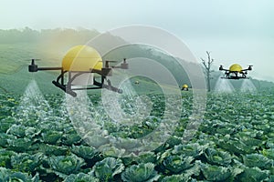 Iot smart agriculture industry 4.0 concept, drone in precision farm use for spray a water, fertilizer or chemical to the field,