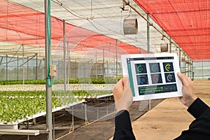 Iot smart industry 4.0 agriculture concept,industrial agronomist,farmer using software Artificial intelligence technology in table