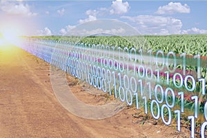 Iot smart industry 4.0 digital transformation with artificial intelligence or ai in agriculture concept