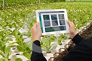 Iot smart industry robot 4.0 agriculture concept,industrial agronomist,farmer using tablet to monitor, control the condition in ve