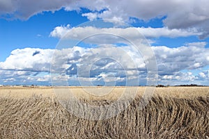 Iowa Clouds photo