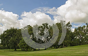 Iowa Country Yard with Grouping of Trees