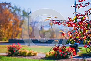 Iowa fall colors