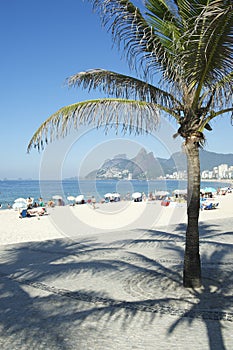 Ipanema Beach Rio de Janeiro Arpoador Palm Tree photo