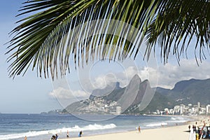 Ipanema Beach Rio de Janeiro Brazil Palm Frond photo
