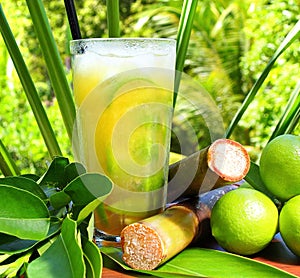 Ipanema - Non alcoholic Cocktail in a tropical Area