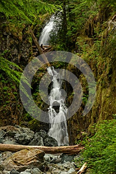 Ipsut Falls Drops Through A Log Strewn Crack In Mountains