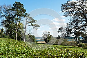 The Ipswich marshes below a rich blue fall sky