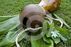 Ipu Heke Hawaiian Double Gourd Drum