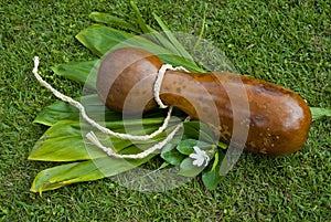 Ipu Heke Hawaiian Double Gourds Drum