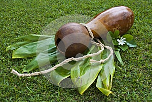 Ipu Heke Hawaiian Double Gourds Drum