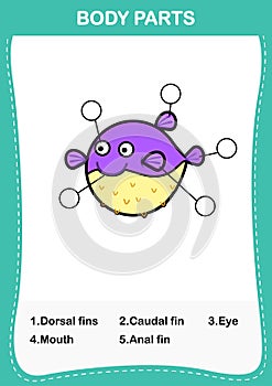 Ipuffer fish vocabulary part of body,Write the correct numbers of body parts