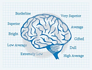 IQ, Intelligence Quotient, Brain, Mentality photo