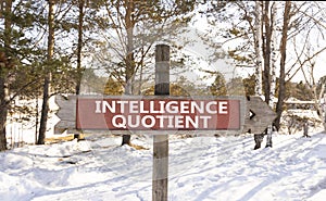 IQ intelligence quotient symbol. Concept words IQ intelligence quotient on wooden road sign. Beautiful forest snow blue sky