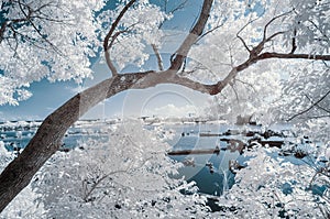 IR landscape