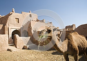 Iran oasis adobe traditional architecture