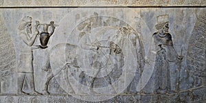 Iran, reliefs in Ancient Persepolis Complex