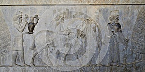 Iran, reliefs in Ancient Persepolis Complex photo