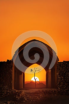 Iran. Yazd. Towers of silence. Traditional architectural arch, a dry lonely tree and a bird at sunset. Copy space.