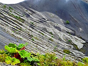 Irazu volcano National Park