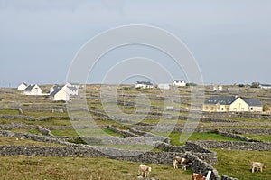 Ireland Aran island stone walls and houses