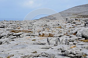 Ireland countryside in Burren with great stones photo