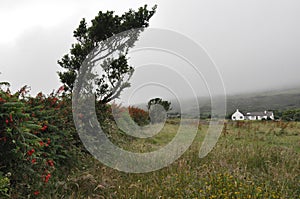 Ireland, Dingle Peninsula,