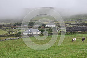 Ireland, Dingle Peninsula,