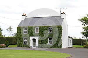 Ireland, Donegal, near Bundoran: Irish House with Ivy-covered Front Wall