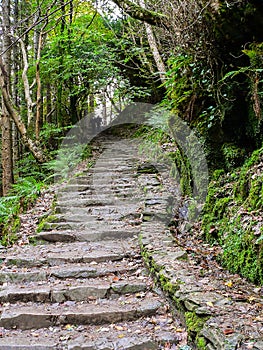 Ireland. Killarney National Park