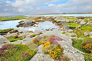 Ireland landscape hdr