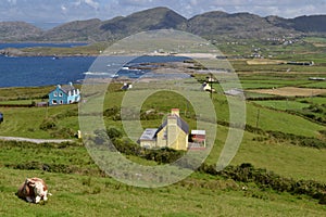 Ireland, Ring of Beara