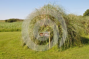 Ireland, Ring of Kerry