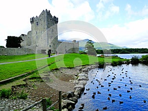 ireland ross castle kerry killarney- castello di ross irlanda photo
